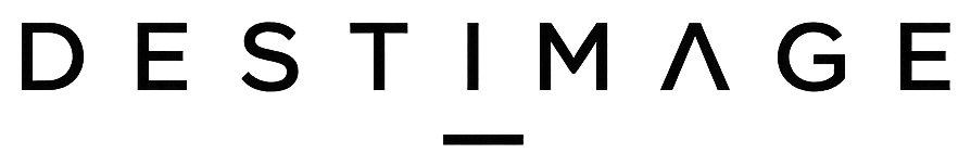Official Destimage wordmark